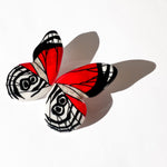 Load image into Gallery viewer, Aros Ilustración Media Mariposa 88 M con pin