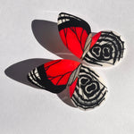 Load image into Gallery viewer, Hoops Illustration Medium Butterfly Bird Wings XL with pin