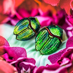 Load image into Gallery viewer, Aros Ilustración Pololos Pequeños