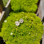 Load image into Gallery viewer, Silver Daisy Hoops