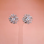 Load image into Gallery viewer, Lichen Coral Silver Hoops