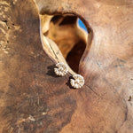 Load image into Gallery viewer, Silver Daisy Hoops