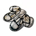 Load image into Gallery viewer, Hoops Illustration Half Butterfly Metona Grandiosa XL