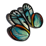 Load image into Gallery viewer, Hoops Illustration Medium Butterfly Ithomia XL