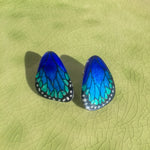 Load image into Gallery viewer, Mini Morpho Butterfly Wing Illustration Earrings