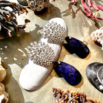 Load image into Gallery viewer, Aros Lluvia de Plata y Lapislázuli