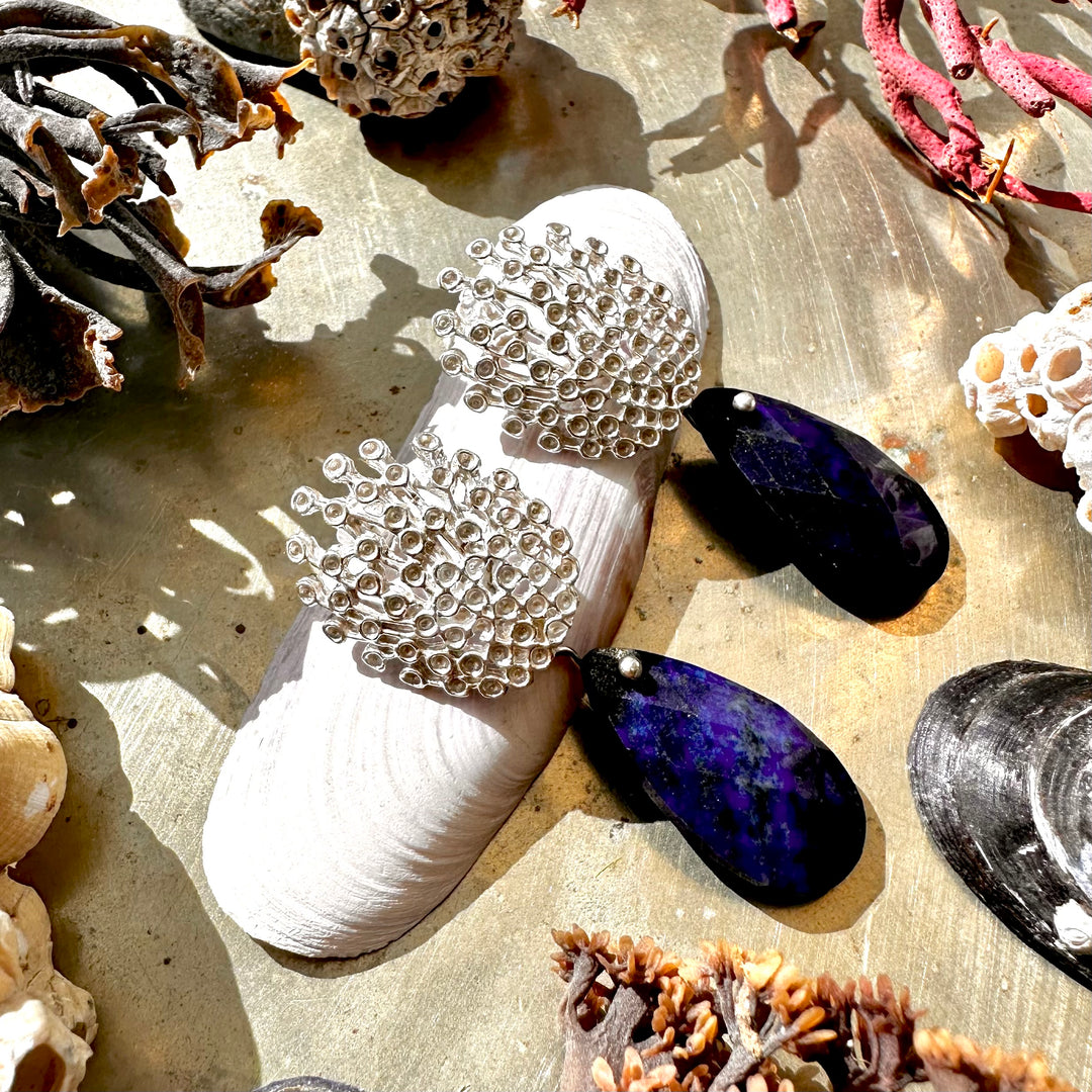 Aros Lluvia de Plata y Lapislázuli