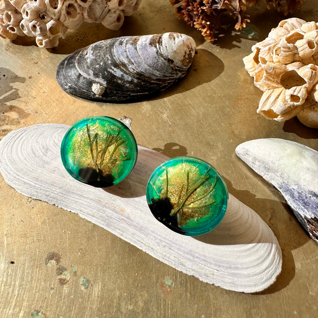 Aros Humedales Circulares Verde Agua con pin