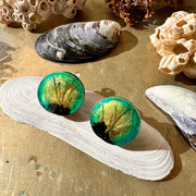 Aros Humedales Circulares Verde Agua con pin