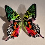 Load image into Gallery viewer, Preventa Aros Ilustración Mariposa Atardecer de Madagascar XL (entrega 19 junio)
