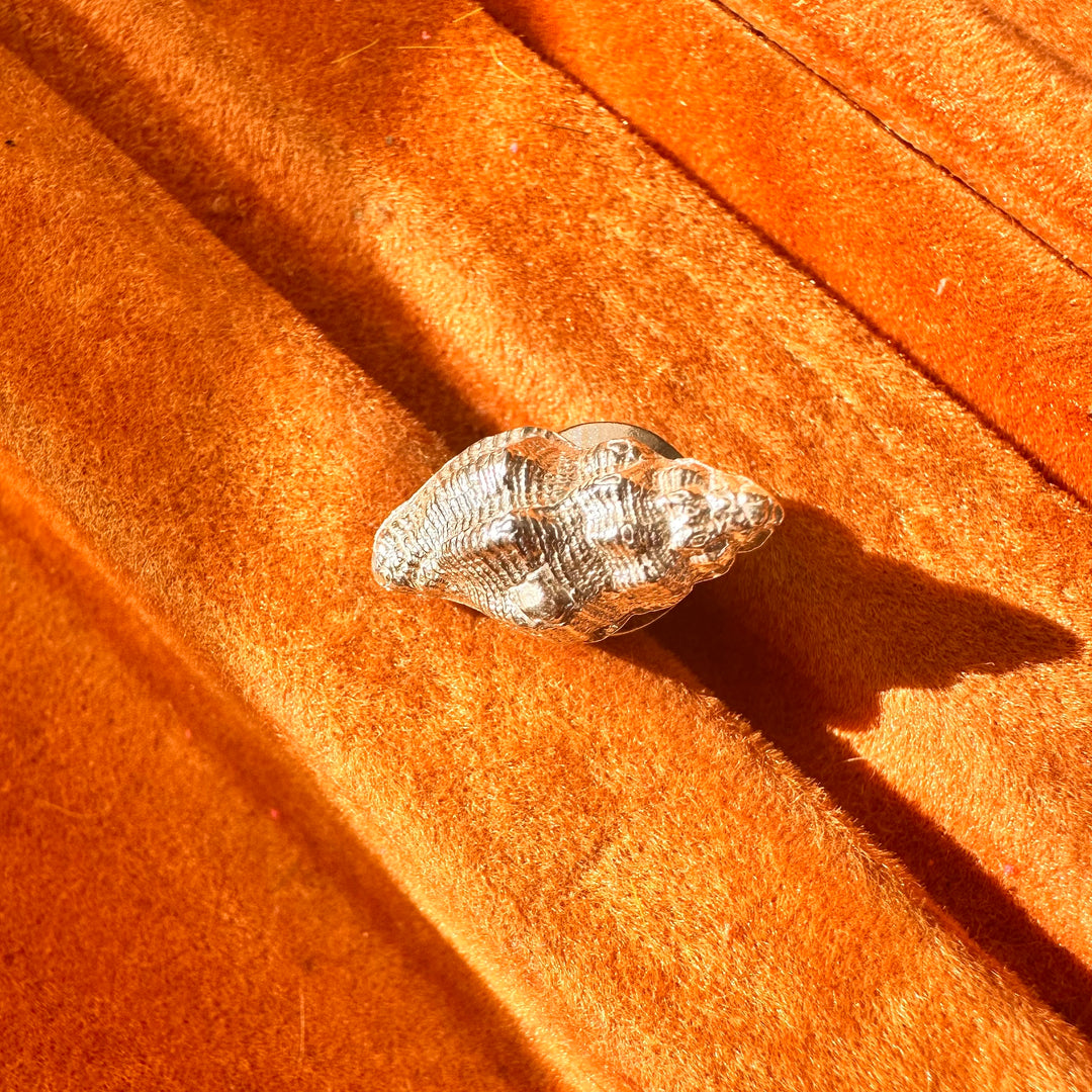 Prendedor Caracolito