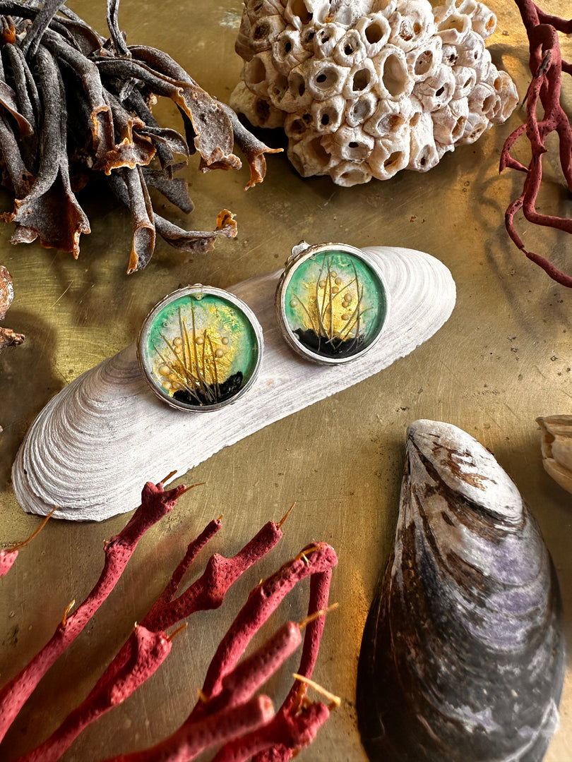 Aros Humedales Turquesa Borde Plata y Pin