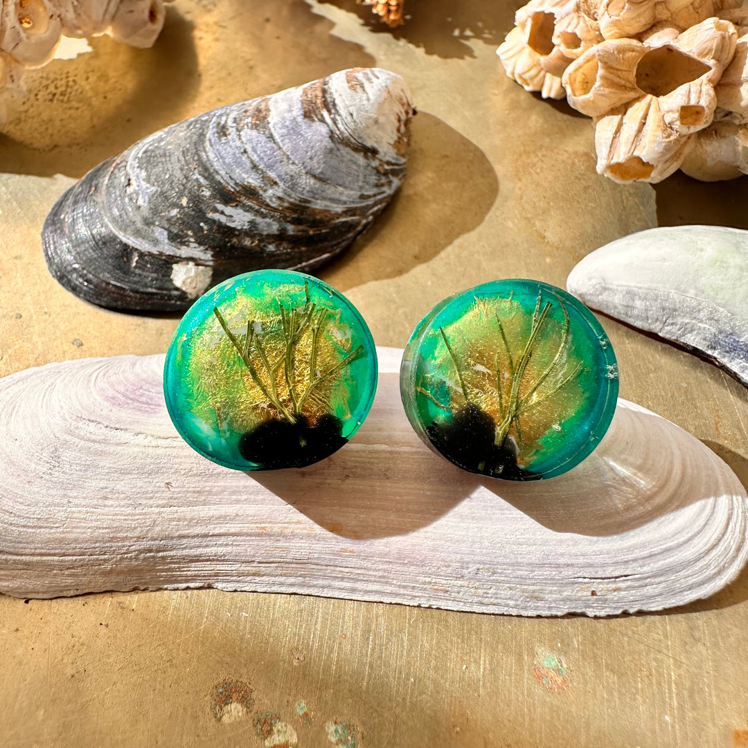 Aros Humedales Circulares Verde Agua con pin