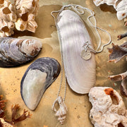 Collar Caracolito de Plata