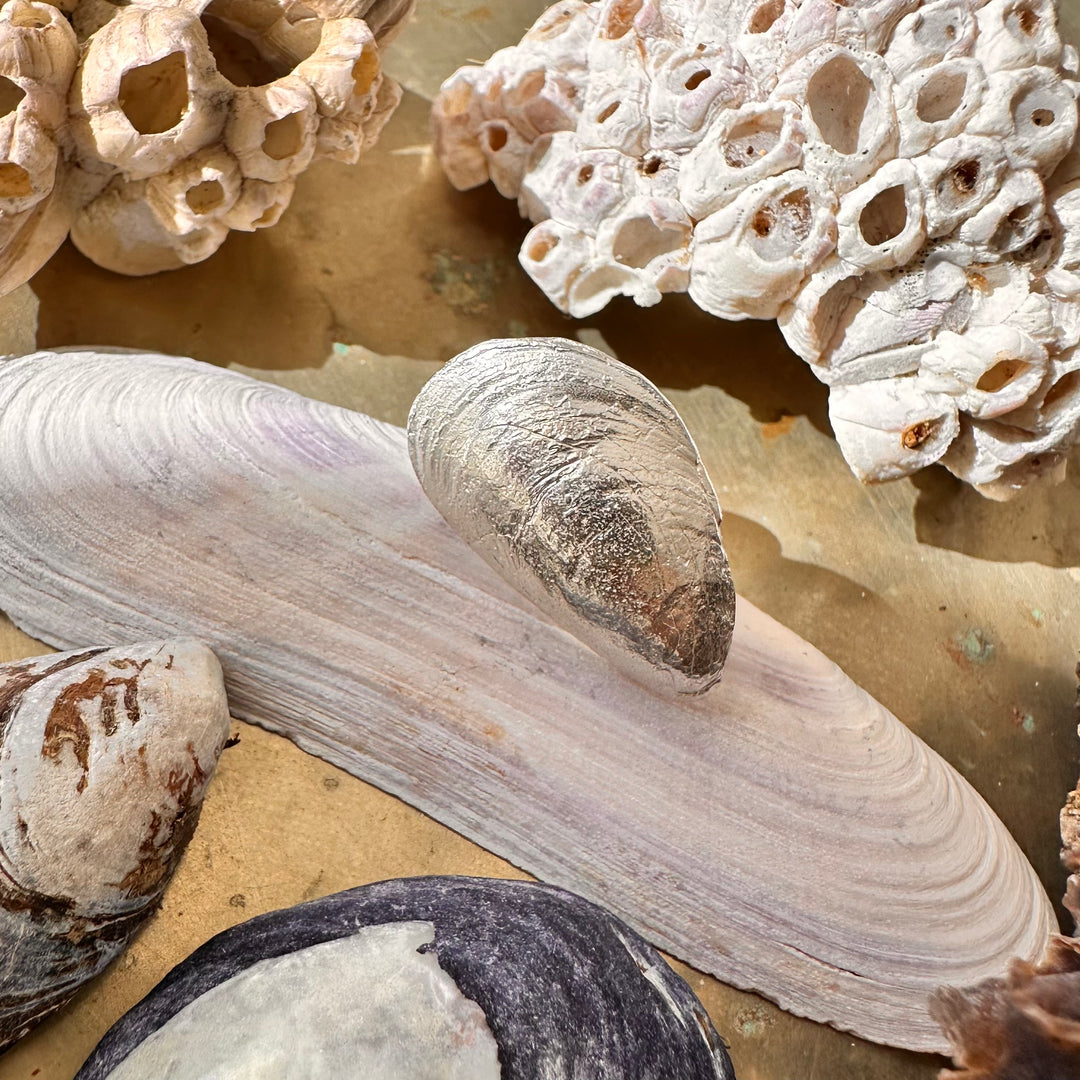 Prendedor Chorito Pequeño