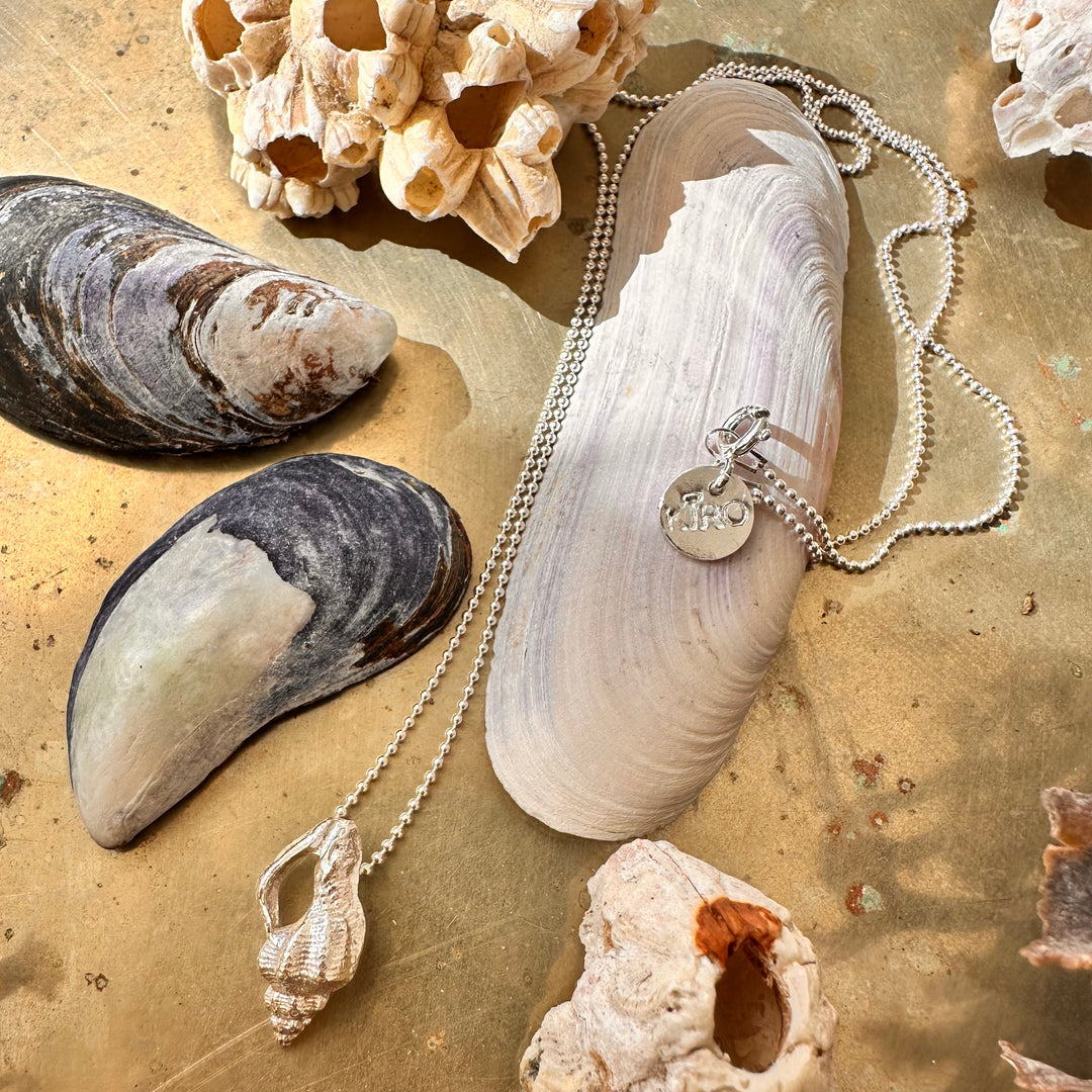 Collar Caracolito de Plata