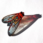 Load image into Gallery viewer, Cosmosome Moth Illustration Pin
