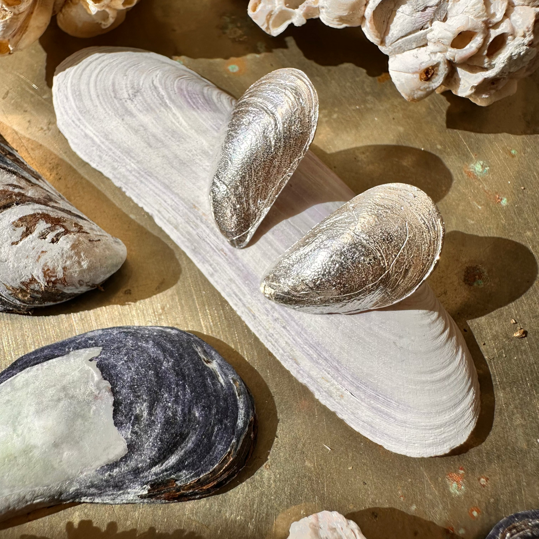 Aros Chorito Pequeños