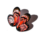 Aros Ilustración Media Mariposa Acraea M