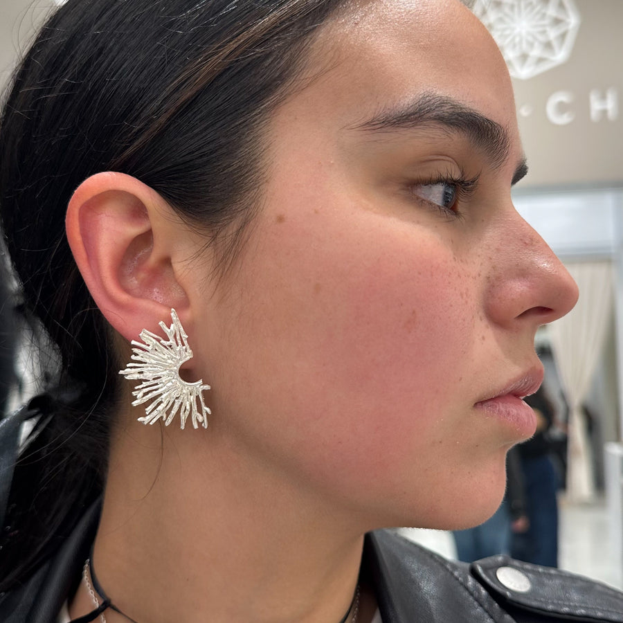 Aros Cerco de palitos de Plata