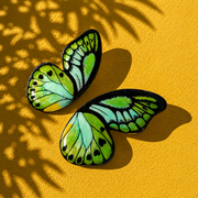 Aros Ilustración Media Mariposa Ala de Pájaro XL con pin