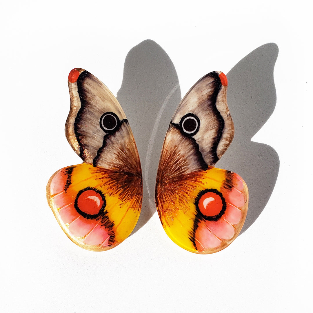Hoops Illustration Half Butterfly Moth Owl with Pin