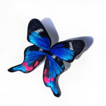 Load image into Gallery viewer, Blue Periander Illustration Half Butterfly Hoops with Pin