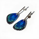 Load image into Gallery viewer, Illustration Alita Morpho Earrings with Silver bar
