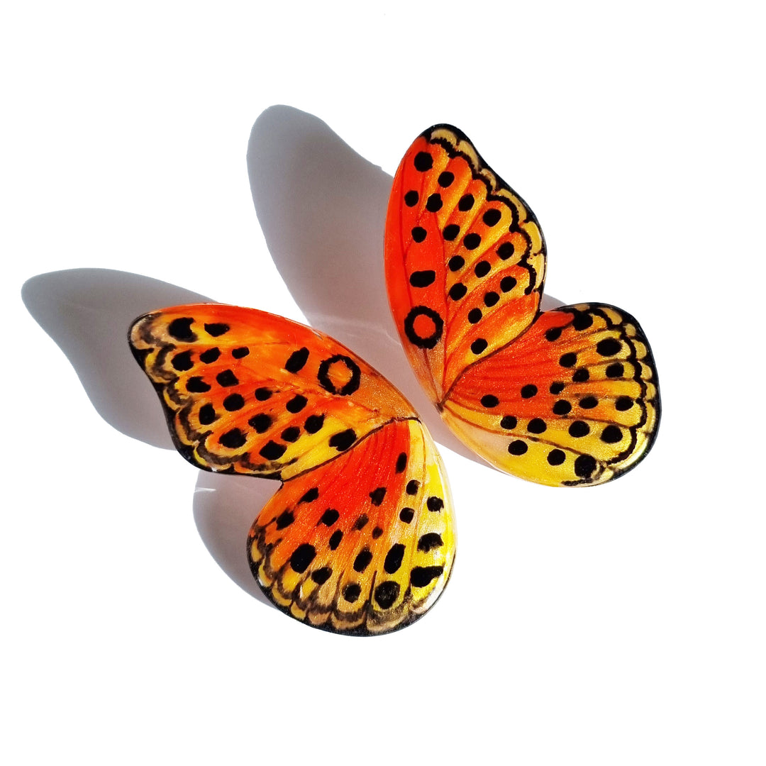 Aros Ilustración Media Mariposa Chitara XL con pin