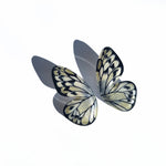 Load image into Gallery viewer, Hoops Illustration Half Butterfly Tatochila M with pin
