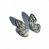 Aros Ilustración Media Mariposa Tatochila M con pin