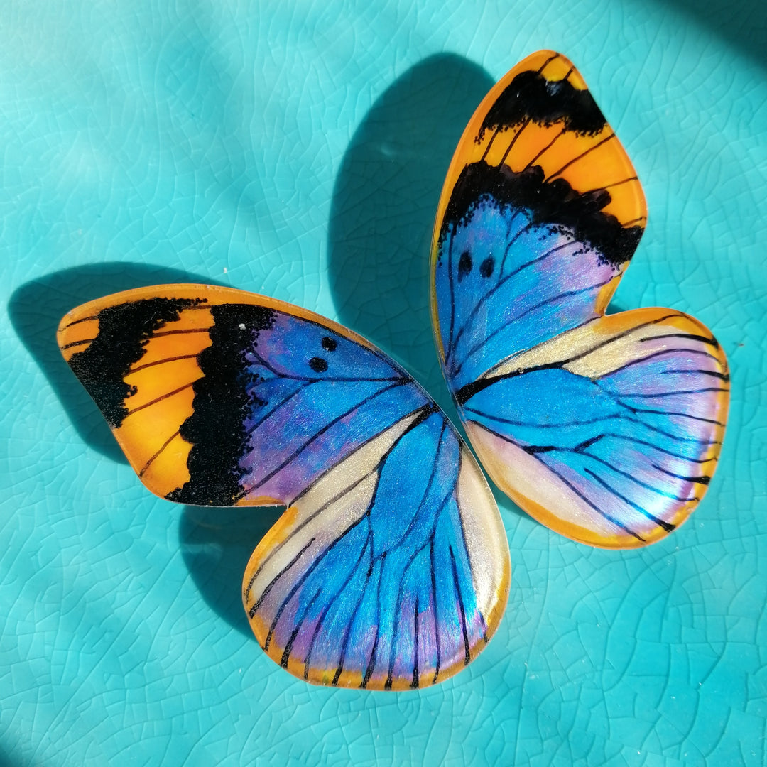 Aros Ilustración Media Mariposa Euphaedra Tornasol tamaño XL