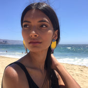 Aros Ilustración Pajaritos Cometocino Patagónico