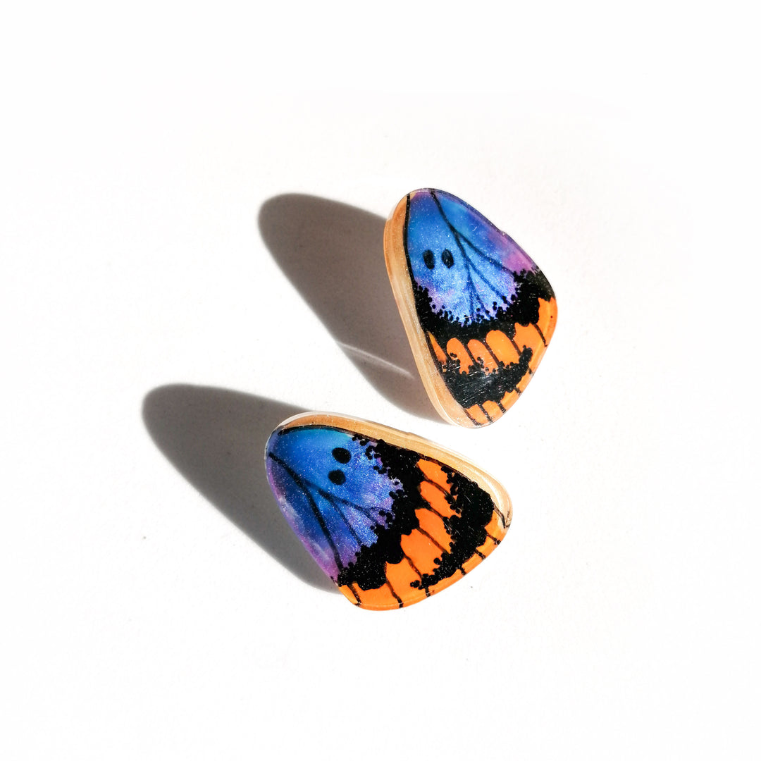 Aros Ilustración Mariposa Mini Alita Euphaedra pin