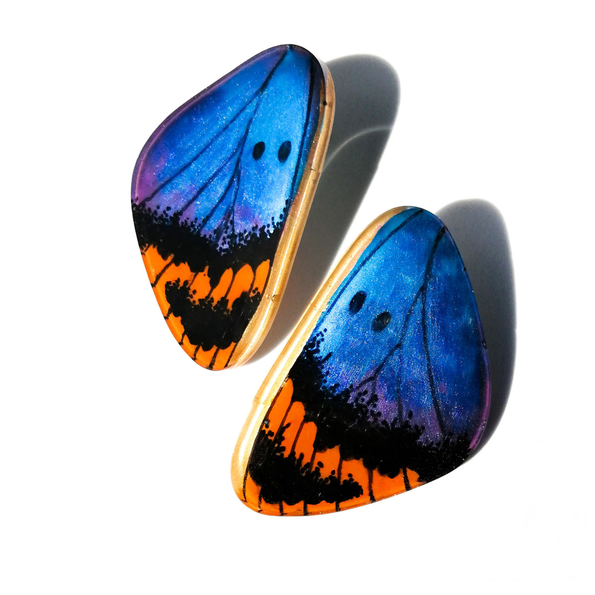 Aros Ala Euphaedra Neophron