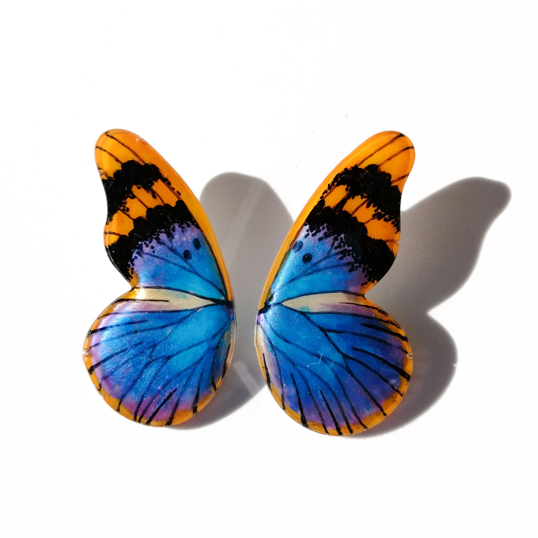 Hoops Illustration Half Butterfly Euphaedra Neophron M