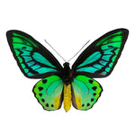 Load image into Gallery viewer, Hoops Illustration Bird Wing Butterfly with silver finger