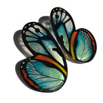 Load image into Gallery viewer, Hoops Illustration Medium Butterfly Ithomia XL