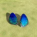 Load image into Gallery viewer, Mini Morpho Butterfly Wing Illustration Earrings