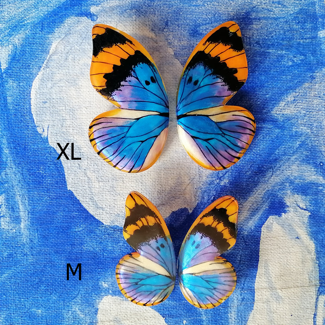 Aros Ilustración Media Mariposa Euphaedra Neophron M