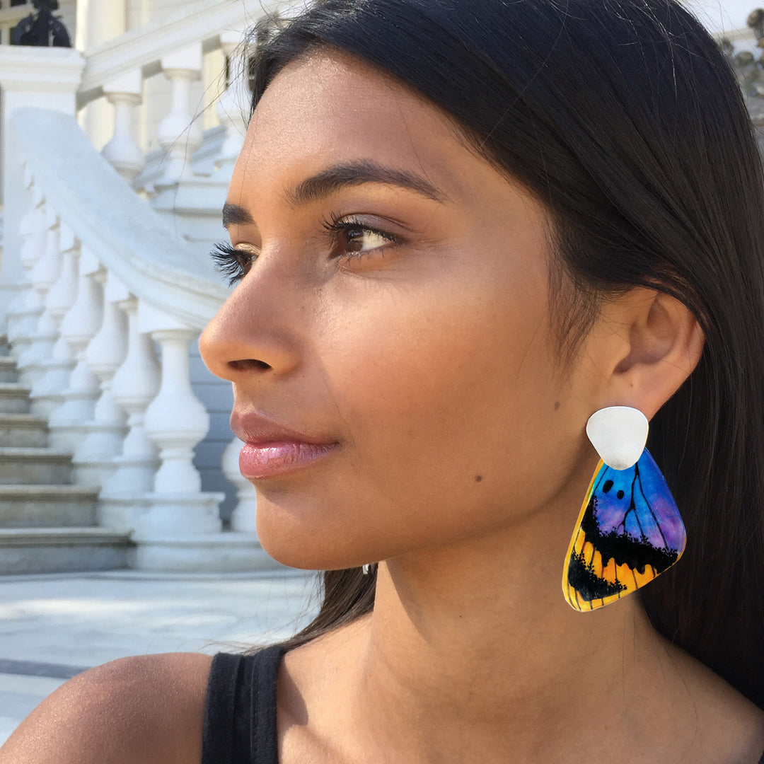 Earrings Euphaedra Wing Illustration Butterfly with Silver Finger